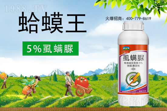 ʭ����������ô�ӣ����x���c(di��n)��ʲô��