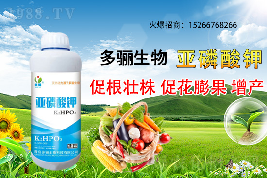 3�·��m�ϷNֲʲôˎ������Щˎ�ķNֲǰ������ٍ�X