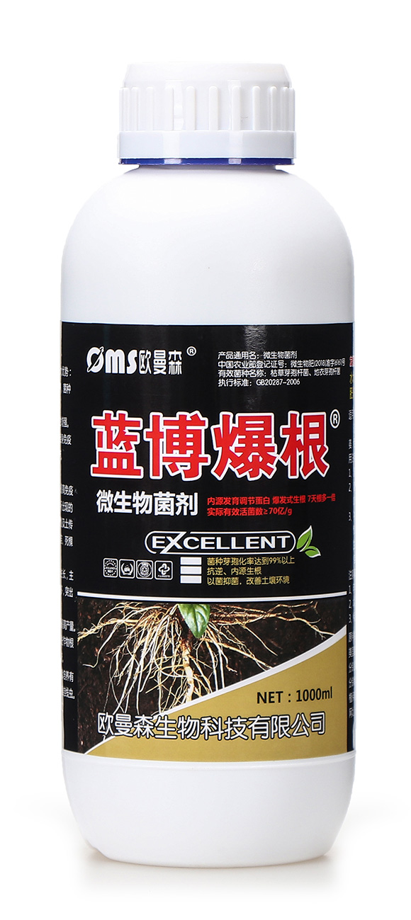 ΢�������-�{������-�W��ɭ5