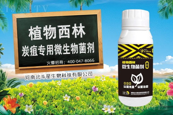 ���њ������r(ji��)������2021��4��1��