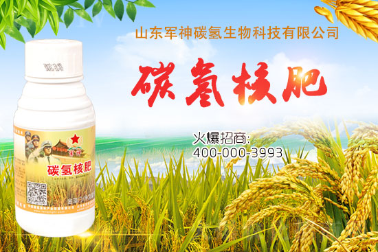 ̼��˷���ʲô������ʲôЧ���@ô�ã�