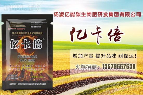 ���}�ۮa(ch��n)�����҇���Щʡ�������}������Щ��ҊƷ�N��