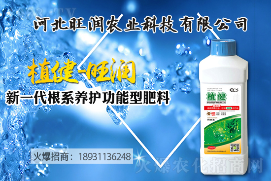 �{(l��n)ݮ��(sh��)����ô�Nֲ���{(l��n)ݮ��(sh��)��ķNֲ���޼����ݼ��g(sh��)��