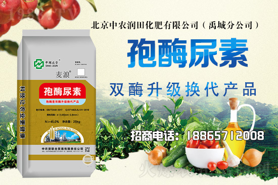 ��������������2021��6��21�������Ј������߄�