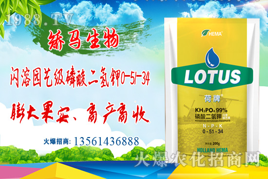 2021��6��8�Շ���(n��i)⛷ʃr(ji��)�������߄�