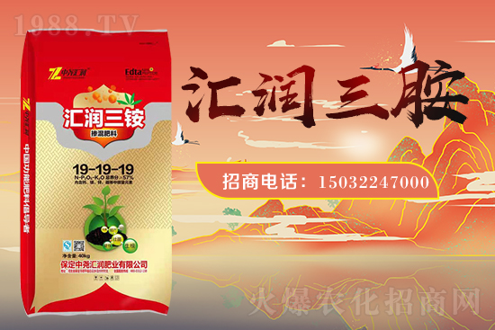 �r(n��ng)���W(w��ng)ϲӭ���������Ј�R�����s1988.TV�y�ִ����������E��