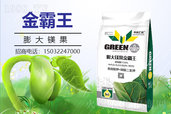 �r(n��ng)���W(w��ng)ϲӭ�����ѣ��Ј�R�����s1988.TV�y�ִ����������E��