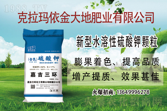 2021-7-24����⛷ʃr��������