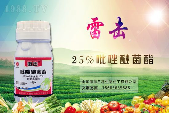 2021.7.27���������������r������