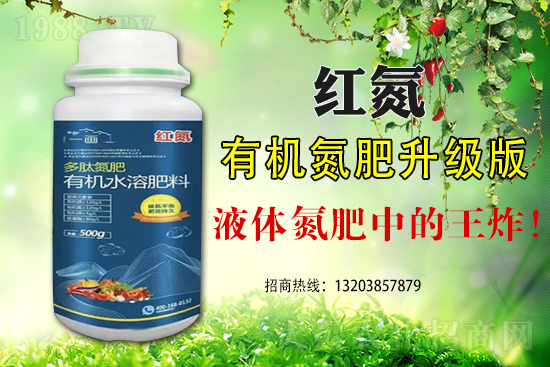 ���מ�ʲô��(hu��)���F(xi��n)��˥�@�N�F(xi��n)������α���������˥��