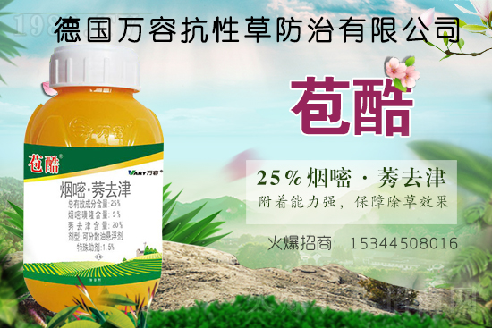 ���ݰ����݄��r������2021.8.4