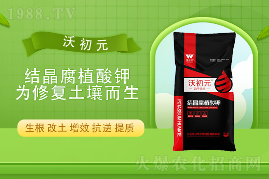 ���؎���»���2021��9��15�Շ���(n��i)���������߄�