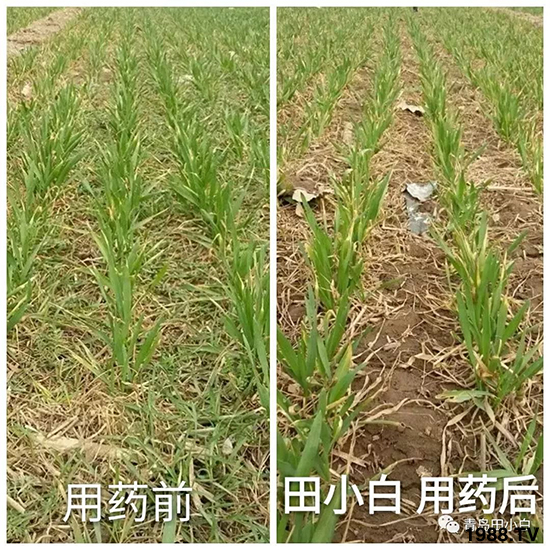 С���s�ݣ���(ji��)��(ji��)�����E�ɞ�����ô�k��С�����݄���ô�x