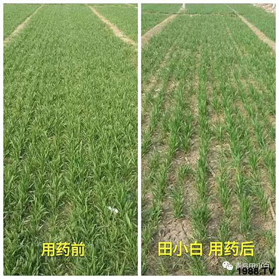 С���s������(ji��)��(ji��)�����E�ɞģ���ô�k��С�����݄���ô�x