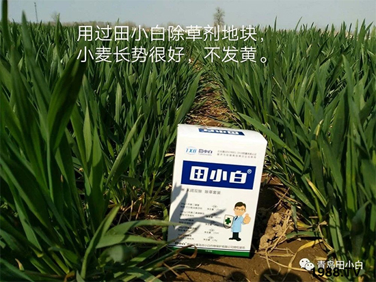 С���s������(ji��)��(ji��)�����E�ɞģ���ô�k��С�����݄���ô�x