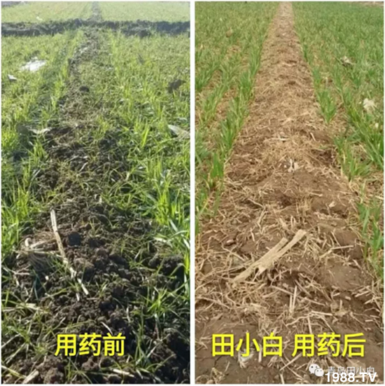 ��(ji��)��(ji��)��Σ����(y��n)����ô������ʲôˎ��Ч���ã�