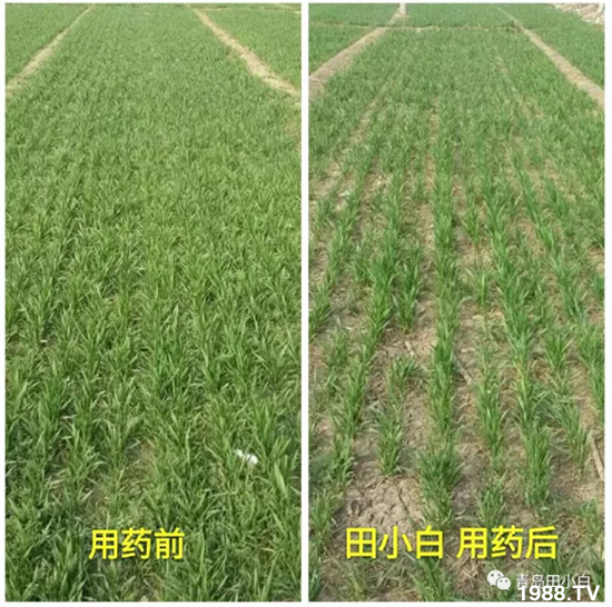 ��(ji��)��(ji��)��Σ����(y��n)����ô������ʲôˎ��Ч������