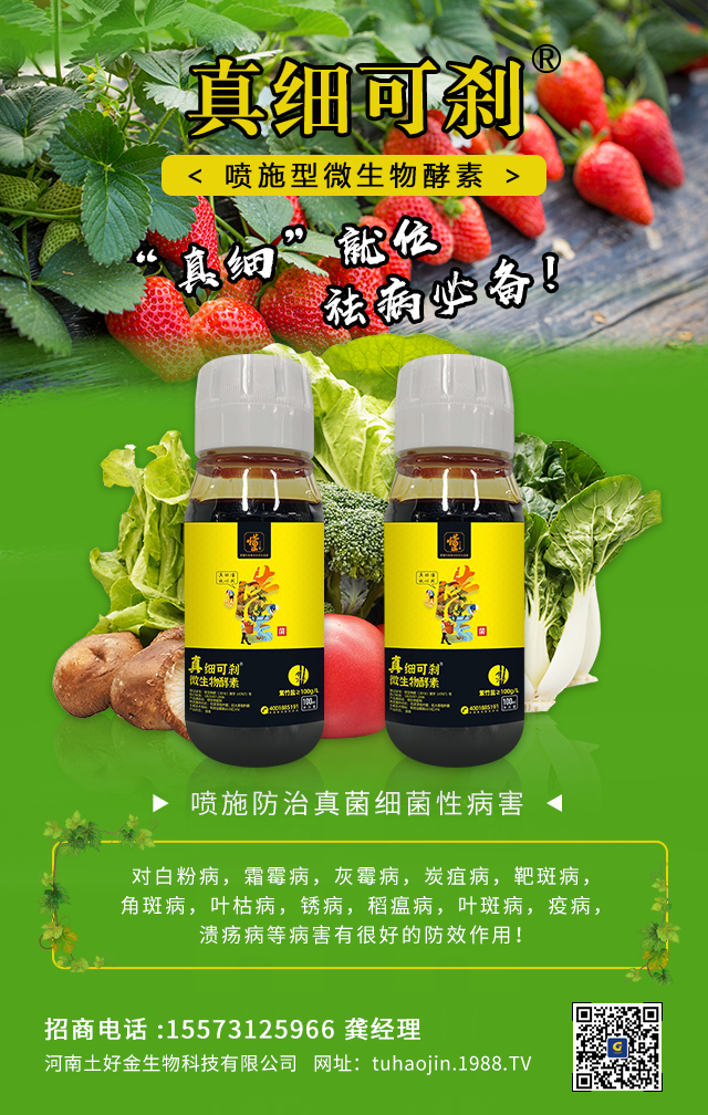 ���������ý�ףȫ��(gu��)�r(n��ng)�Y��(j��ng)�N�����т�2022����옷�������d¡���f�����⣡