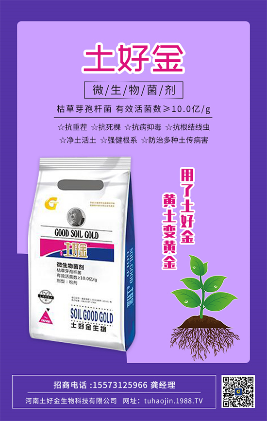 ���������ý�ףȫ��(gu��)�r(n��ng)�Y��(j��ng)�N�����т�2022����옷�������d¡���f��������