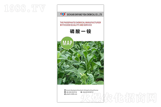 ���@�r��߀���q����2022�����@�r���߄ݷ���