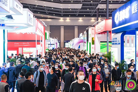 ��37��ȫ��(gu��)ֲ���p����(hu��)���(hu��)���}