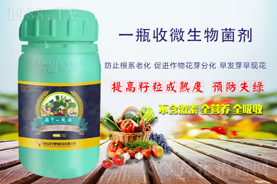 ���r(n��ng)���W(w��ng)ϲӭ���������y�և���ʘI(y��)����ؔ��֮·��