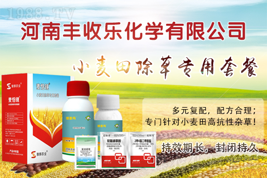 2022.4.14�Ǹ��س��݄��r������