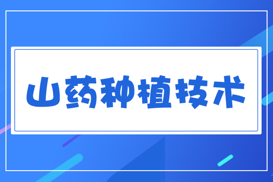 ɽˎ�Nֲ���g