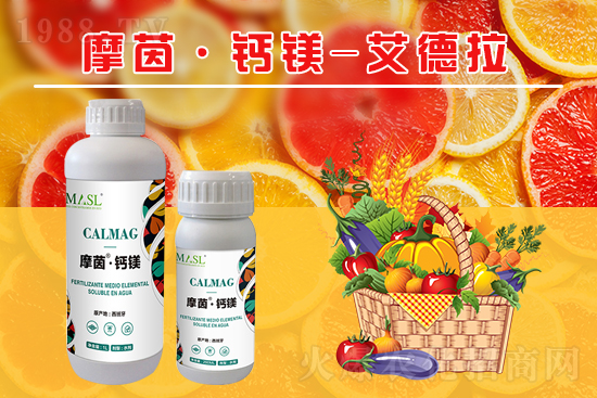 �����a(b��)�}�S���ځ���������a(b��)���}�V�ʣ�