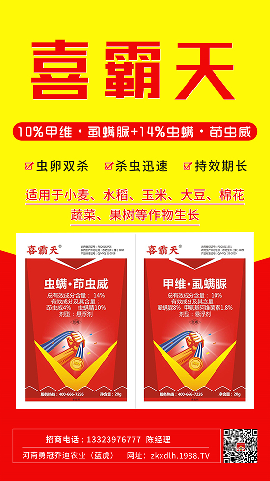 С�˶��������x(ch��ng)Σ����̫�y�����@����ˎ��һ��һ��(g��)��(zh��n)!