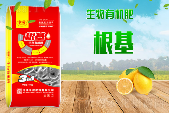 �ӱ��̽��������޹�˾