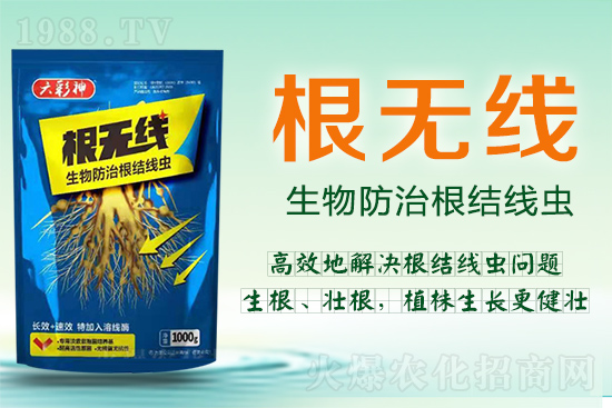 ���Y(ji��)���x�������ך��^�y���@�ӷ���Ч���õ��@����