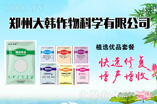 ����ˎ���ʺ��l�l(f��)��ô�k���l(f��)��ˎ���ʺ�����a(b��)����