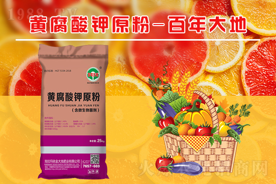 ��ֲ���ʲô�ܸ���������Ч�������