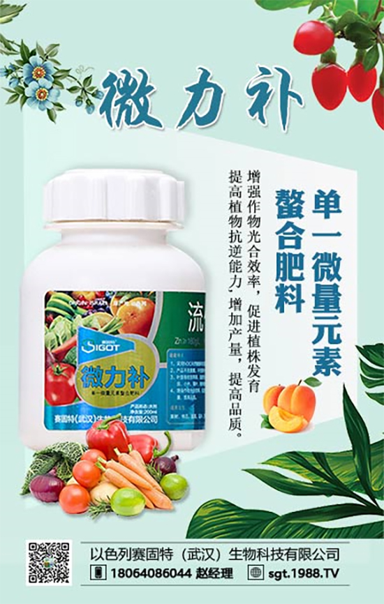 ���ι���(sh��)С�~���S�~�������������У�