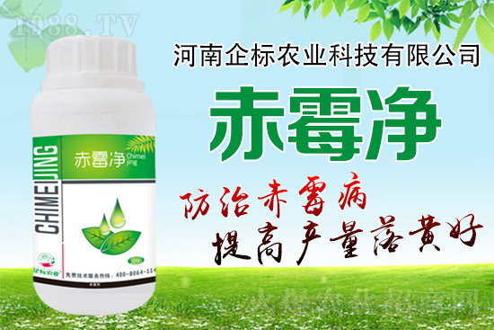 �o�����ѣ�δ��ʮ����С����ù�������P(gu��n)�I�ڣ��ձ�ץ����