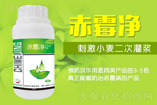 �o�����ѣ�δ��ʮ����С����ù�������P(gu��n)�I�����ձ�ץס��