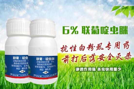 ���԰׷�ʭ�y�����y�����@����ˎ�x���p�������x��