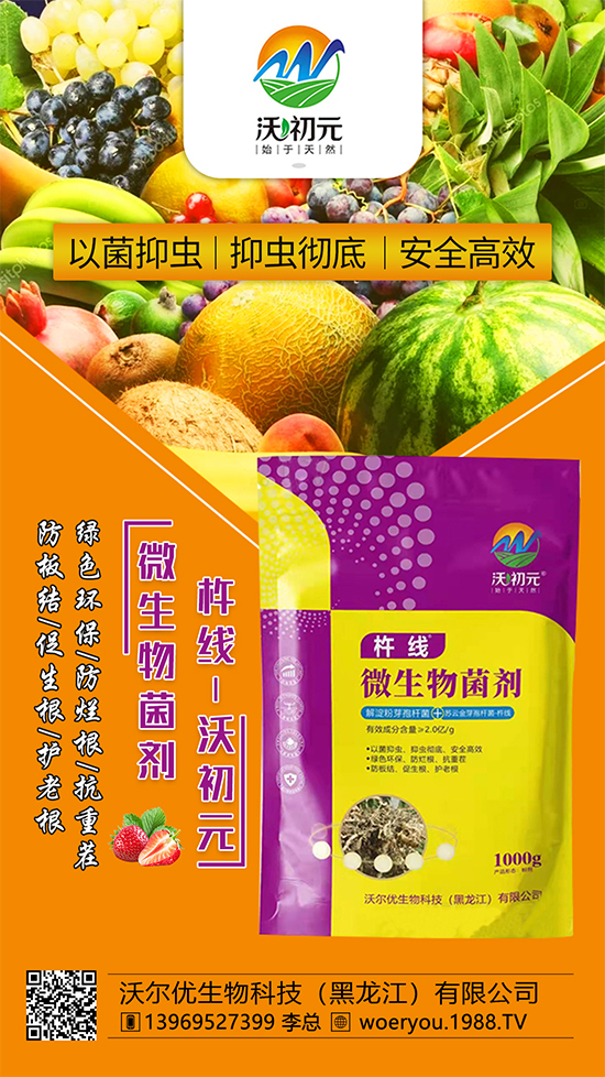 ����ĸ�ϵ���Q������Įa(ch��n)��