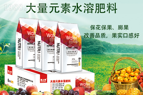 �������W�����Ƽ�����؟�ι�˾11