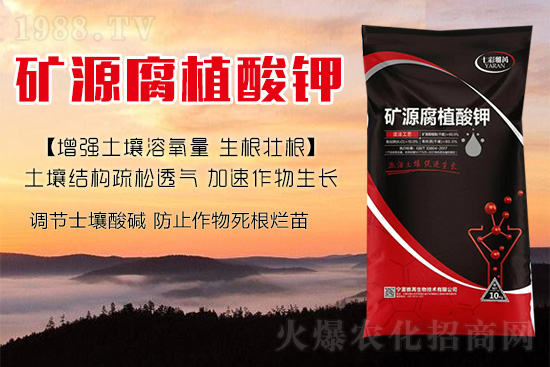 ����Nֲ��������(d��ng)�ׂ��������Ӹ��Ƹ�ϵ��r����