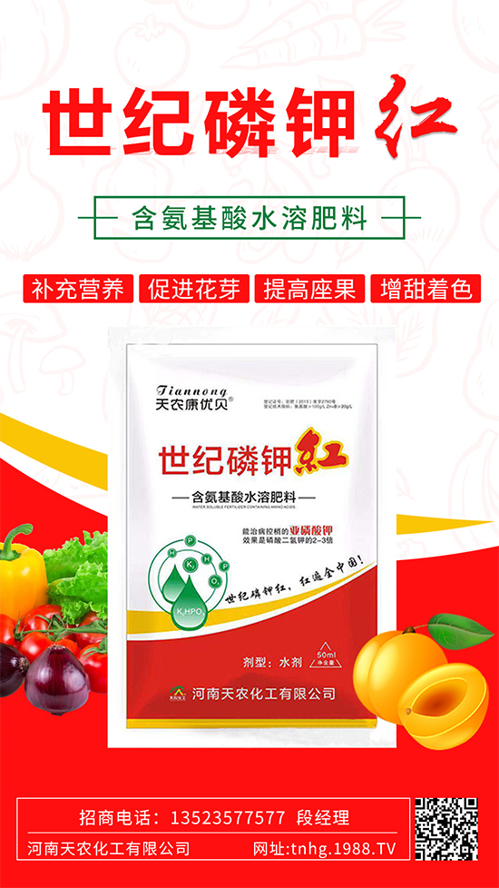 ���������ʲô���ã����˽����