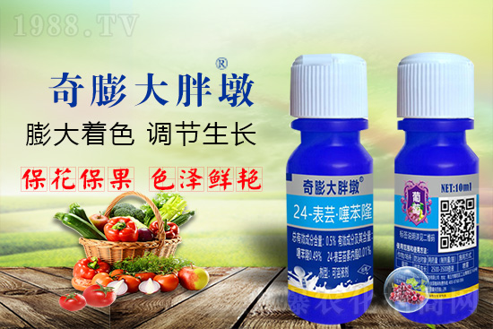     ������Ҫ�߮a(ch��n)��������P(gu��n)�I��������(sh��)�������D(zhu��n)ɫ�����u(m��i)��������ڵĮa(ch��n)����Ʒ�|(zh��)����������(l��i)�S��Ĺ��r(n��ng)���r(n��ng)������ӳ�Լҵ���������ס���������������������������������ܛ���չ�����r�l���l(f��)����