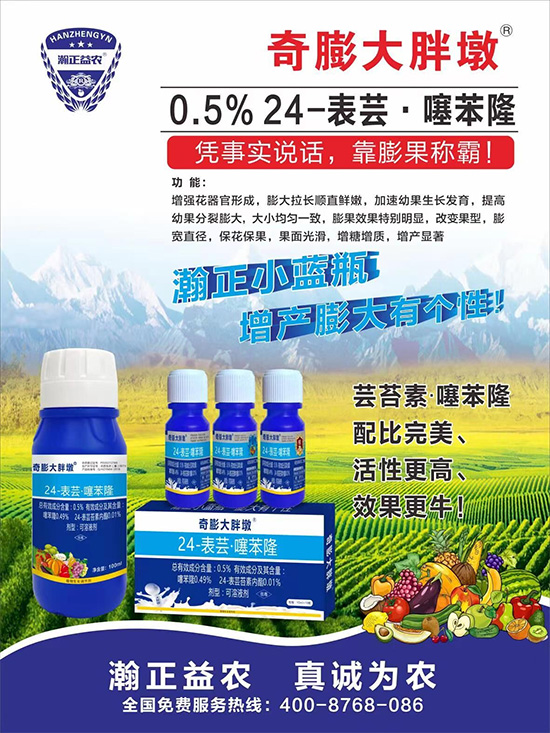     ������Ҫ�߮a(ch��n)��������P(gu��n)�I��������(sh��)���졢�D(zhu��n)ɫ�����u(m��i)��������ڵĮa(ch��n)����Ʒ�|(zh��)����������(l��i)�S��Ĺ��r(n��ng)���r(n��ng)������ӳ�Լҵ���������ס���������������������������������ܛ���չ�����r�l���l(f��)����