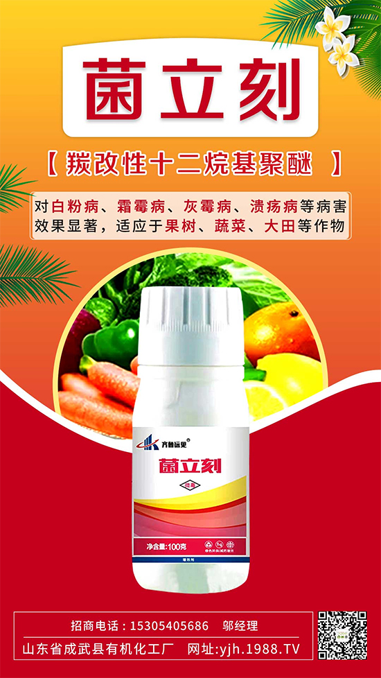 ����˪ù��߀�ǰ׷۲����e��ɵɵ�ֲ���������ηֱ漰���Σ�