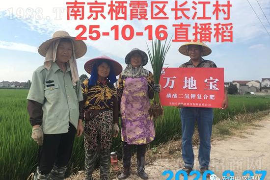 ˮ�����Y���Ì�(du��)�a(ch��n)���ж��Ӱ푣����M(j��n)ˮ�����Y��ô����