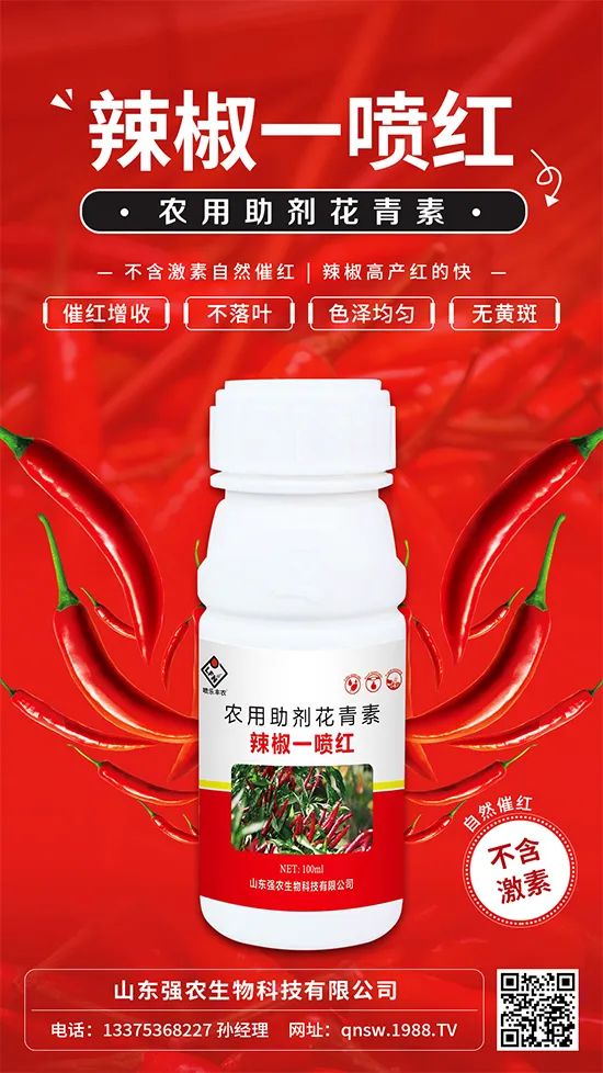 辣椒催紅增收專利產(chǎn)品！自然增紅零激素，色澤勻無黃斑