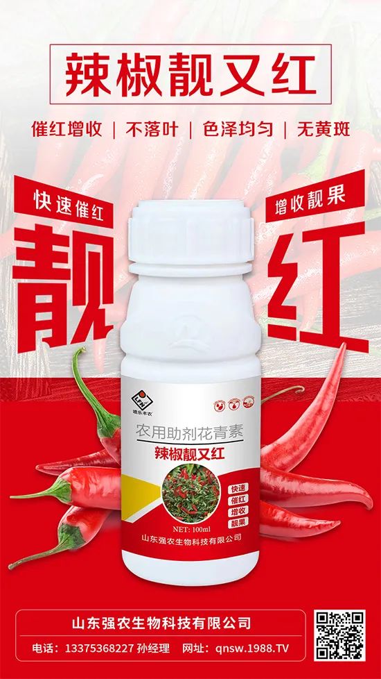 辣椒催紅增收專利產(chǎn)品！自然增紅零激素，色澤勻無黃斑