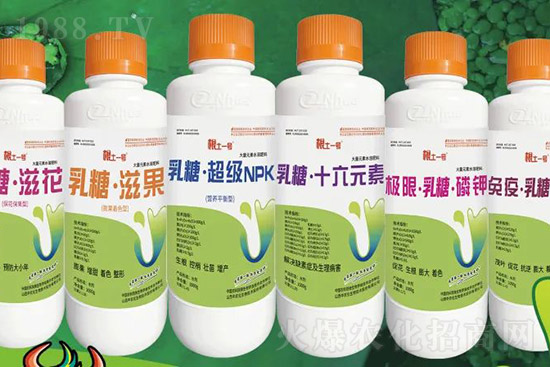 �J����������c����Щ���J����������ôʩ