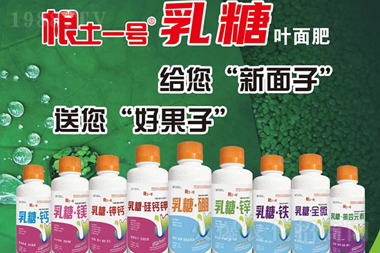 �J����������c����Щ���J����������ôʩ